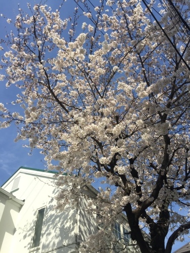 b0083620_15115707.jpeg