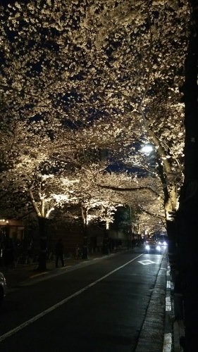 エリアフ・インバル指揮 東京都交響楽団 (ピアノ : アレクサンドル・タロー) 2018年 3月26日 サントリーホール_e0345320_22564925.jpg