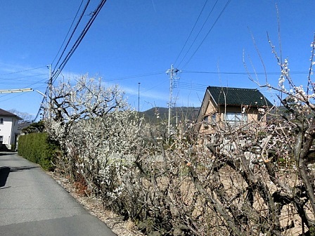 e0234924_18442362.jpg