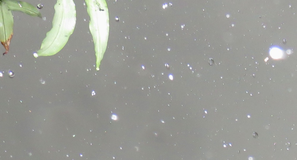 c0331825_12480223.jpg