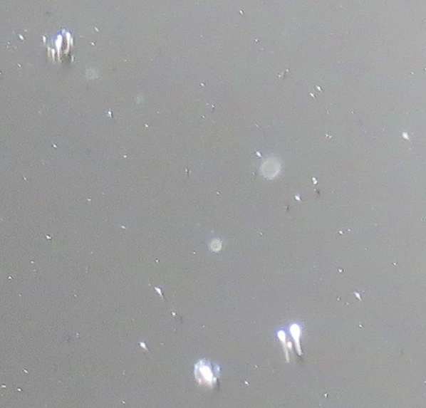 c0331825_12491221.jpg