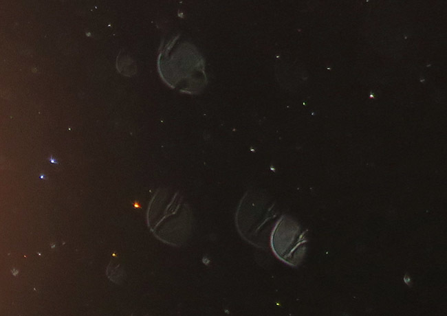 c0331825_13094216.jpg