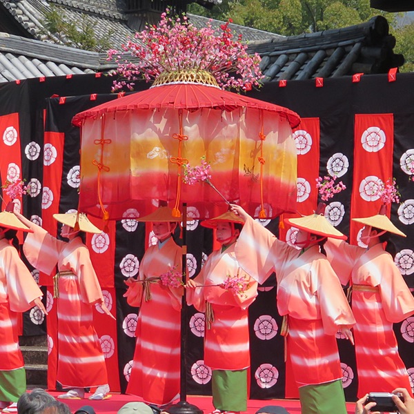 随心院「はねず踊り」の小野小町・・・_d0352628_1713472.jpg