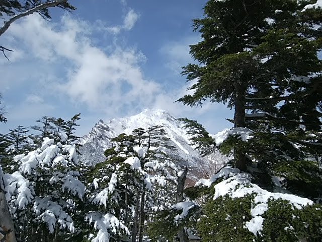 d0107938_12292561.jpg