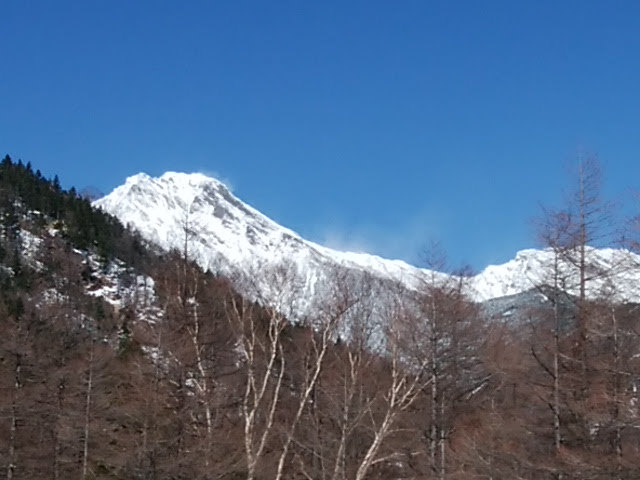 d0107938_12352478.jpg