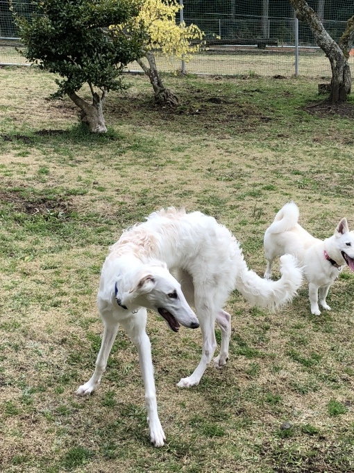 b0369239_11591112.jpeg