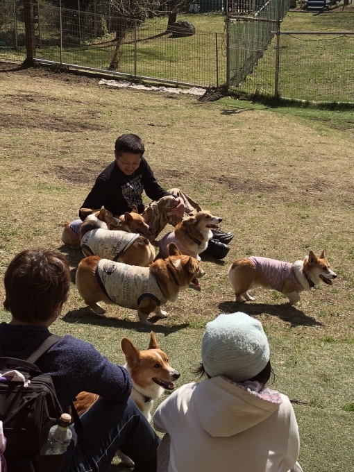 桜開花の時期ですね。_b0369239_12014419.jpeg