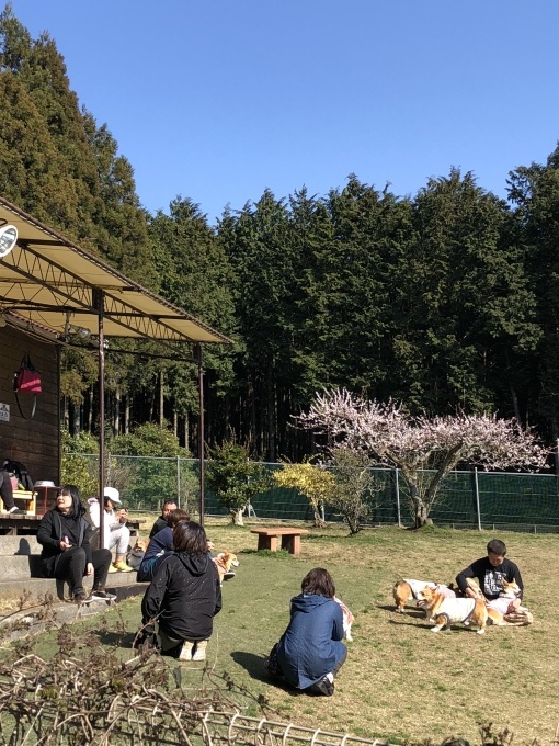 b0369239_12030662.jpeg
