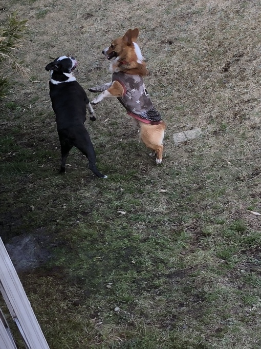 b0369239_12035288.jpeg