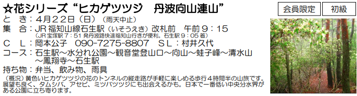 e0371039_20103410.png