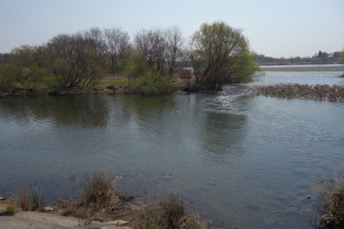 f0375039_11093719.jpeg