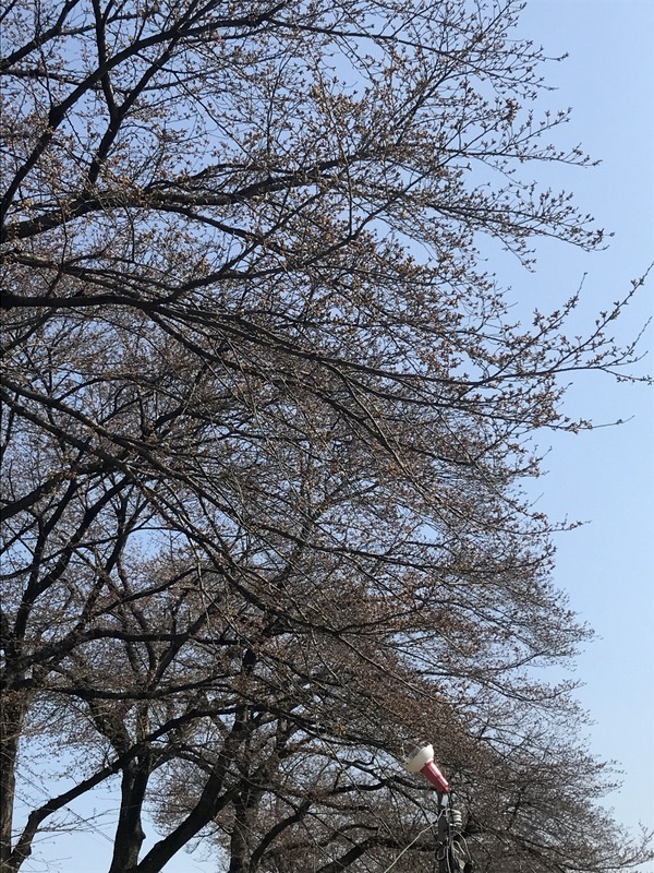 b0057140_19562758.jpg
