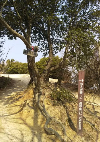 横尾山周辺を歩く_c0218841_14362092.jpg