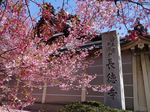 b0299042_10391303.jpg