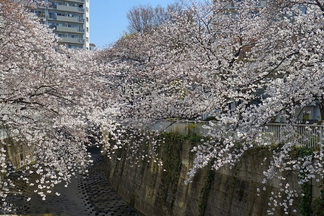 b0122448_07400969.jpg