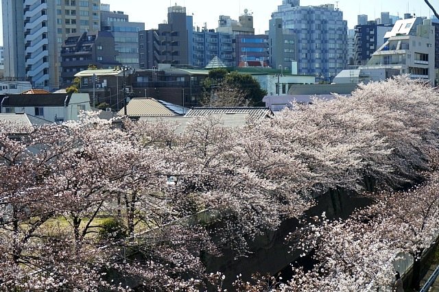 b0122448_07402097.jpg