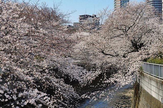 b0122448_07500890.jpg