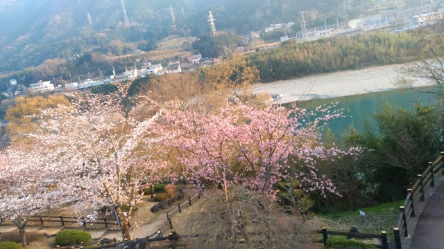 b0193754_20491751.jpg