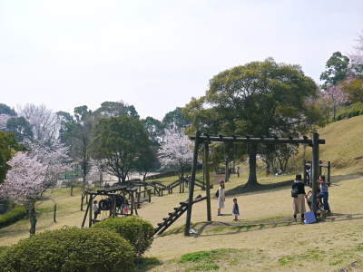 菊池公園、菊池神社の桜photoコレクション 2018_a0254656_18363062.jpg