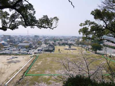 菊池公園、菊池神社の桜photoコレクション 2018_a0254656_19264224.jpg