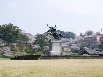 菊池公園、菊池神社の桜photoコレクション 2018_a0254656_19275457.jpg