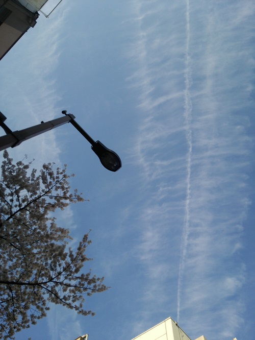 e0047657_221076.jpg