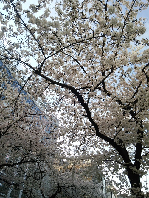e0047657_22112478.jpg