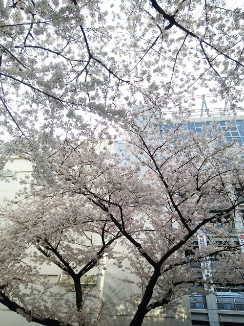 e0047657_22115436.jpg