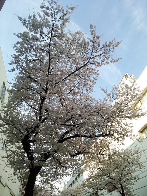 e0047657_2294899.jpg