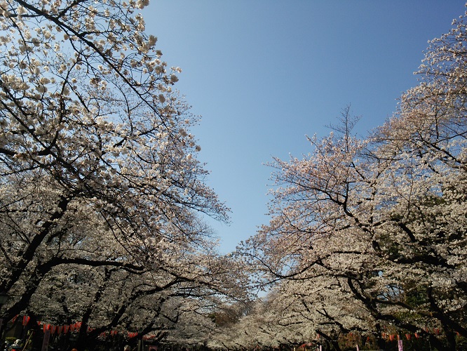 e0047657_4112549.jpg