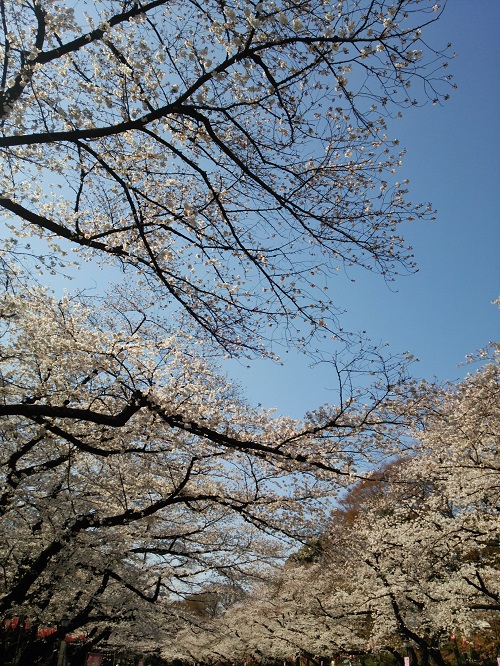e0047657_41145100.jpg