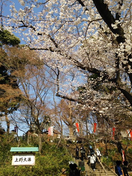 e0047657_414711.jpg