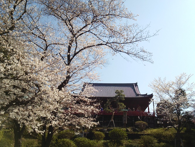 e0047657_4201237.jpg