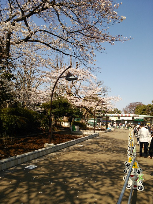 e0047657_432444.jpg