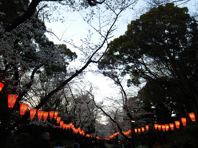e0047657_6111161.jpg