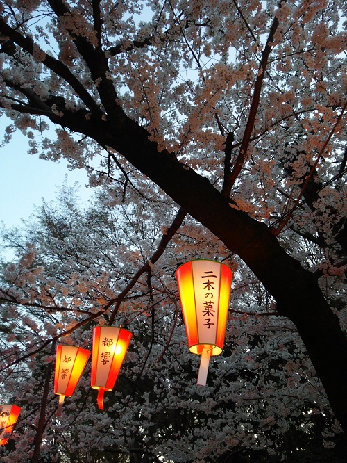 e0047657_6193980.jpg