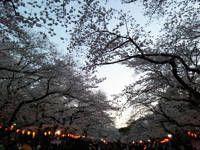 e0047657_6242129.jpg