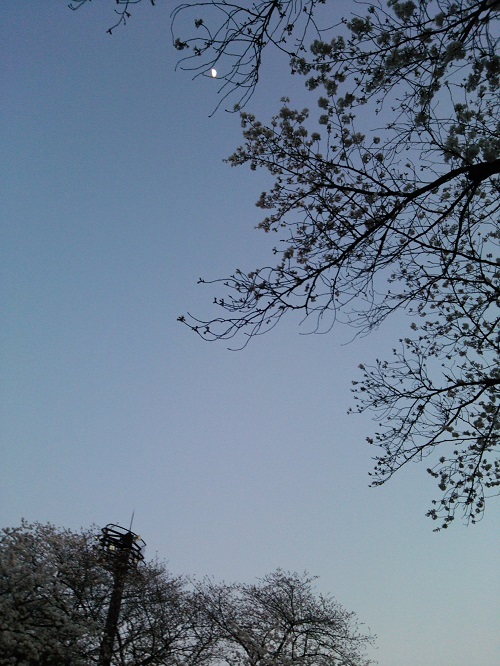 e0047657_6245216.jpg