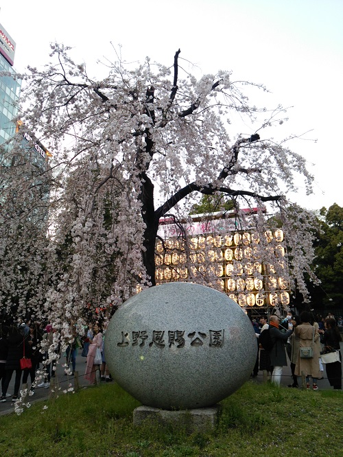 e0047657_645233.jpg