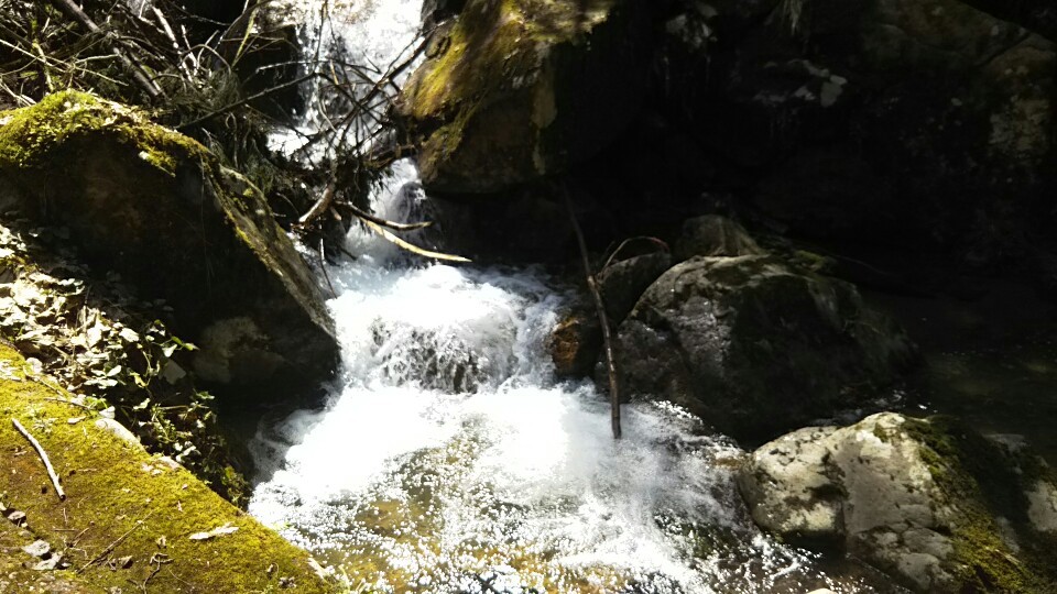 a0060360_14462470.jpg