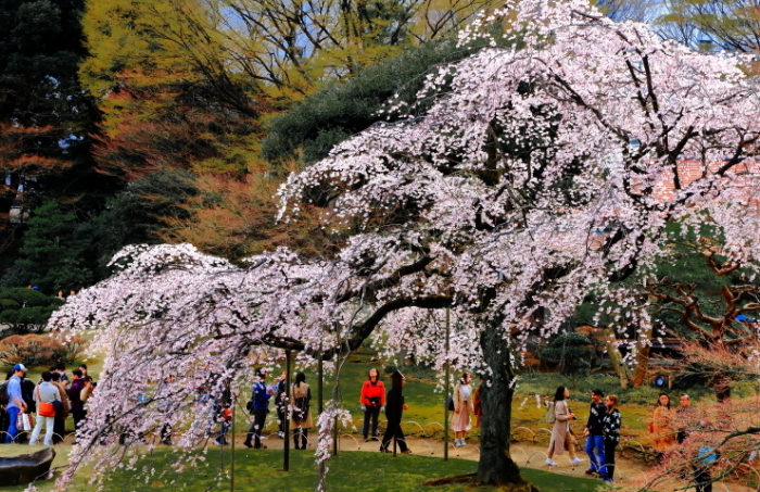 a0150260_00000959.jpg