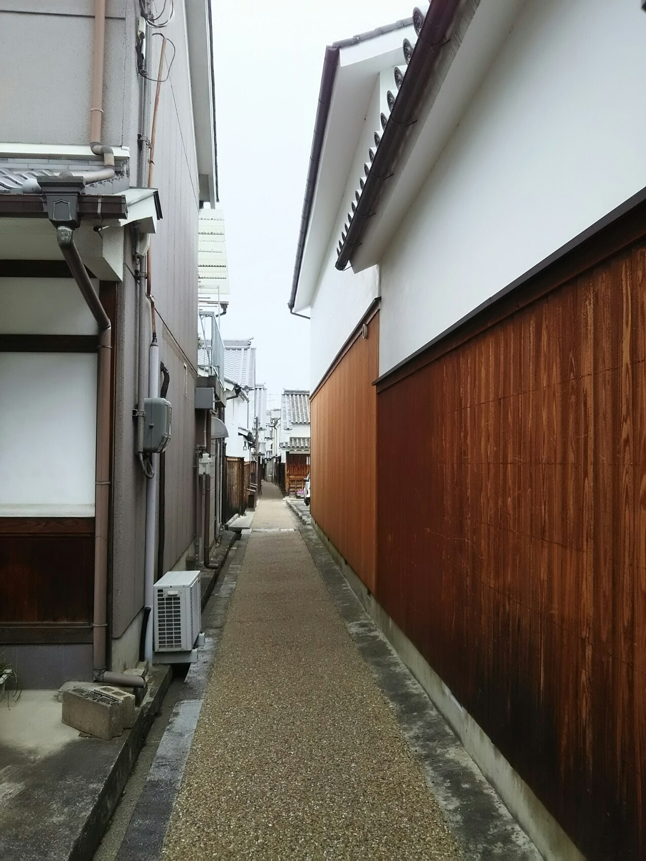 f0000262_23551413.jpg