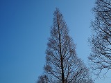 c0218368_13111569.jpg