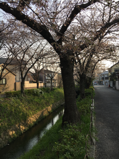 f0363168_07085898.png
