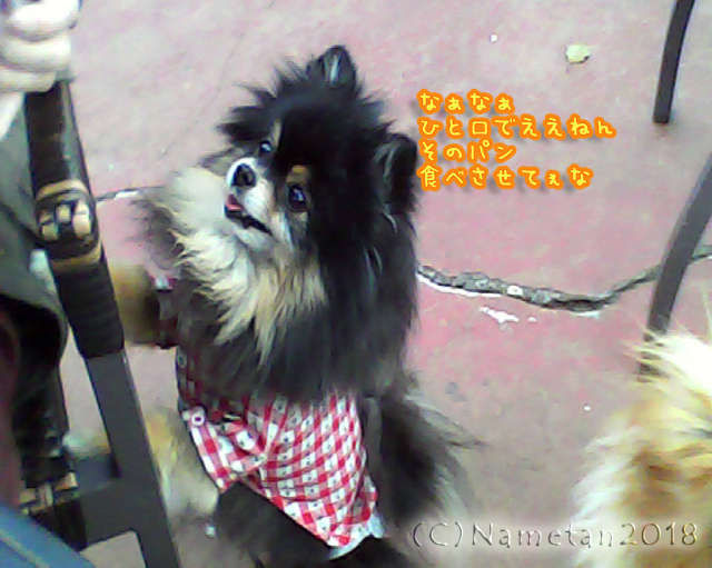 a0004070_15341014.jpg