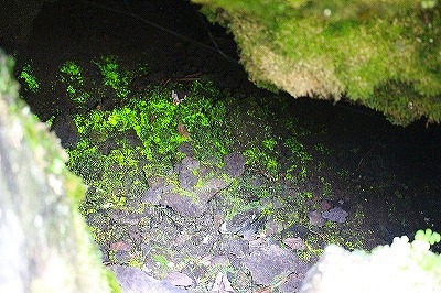 b0171771_06333191.jpg