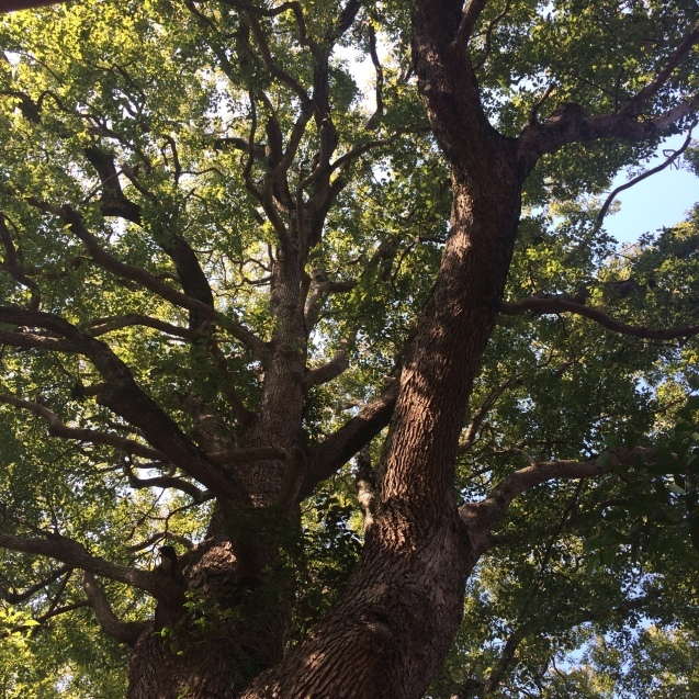 c0112672_14192274.jpeg