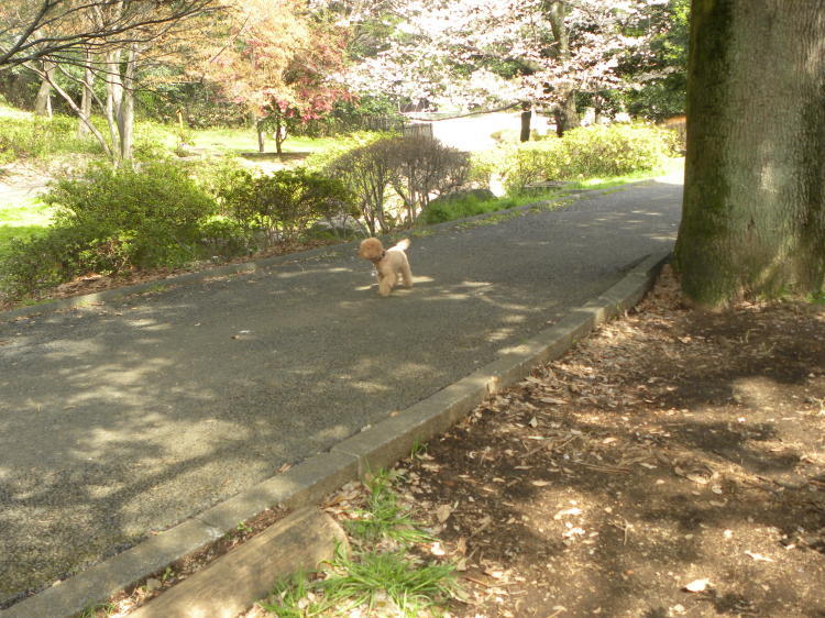 c0162773_12195826.jpg