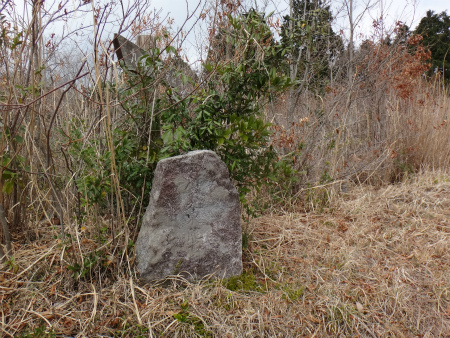 春の九千部山（福岡県那珂川町）_d0182075_03055436.jpg