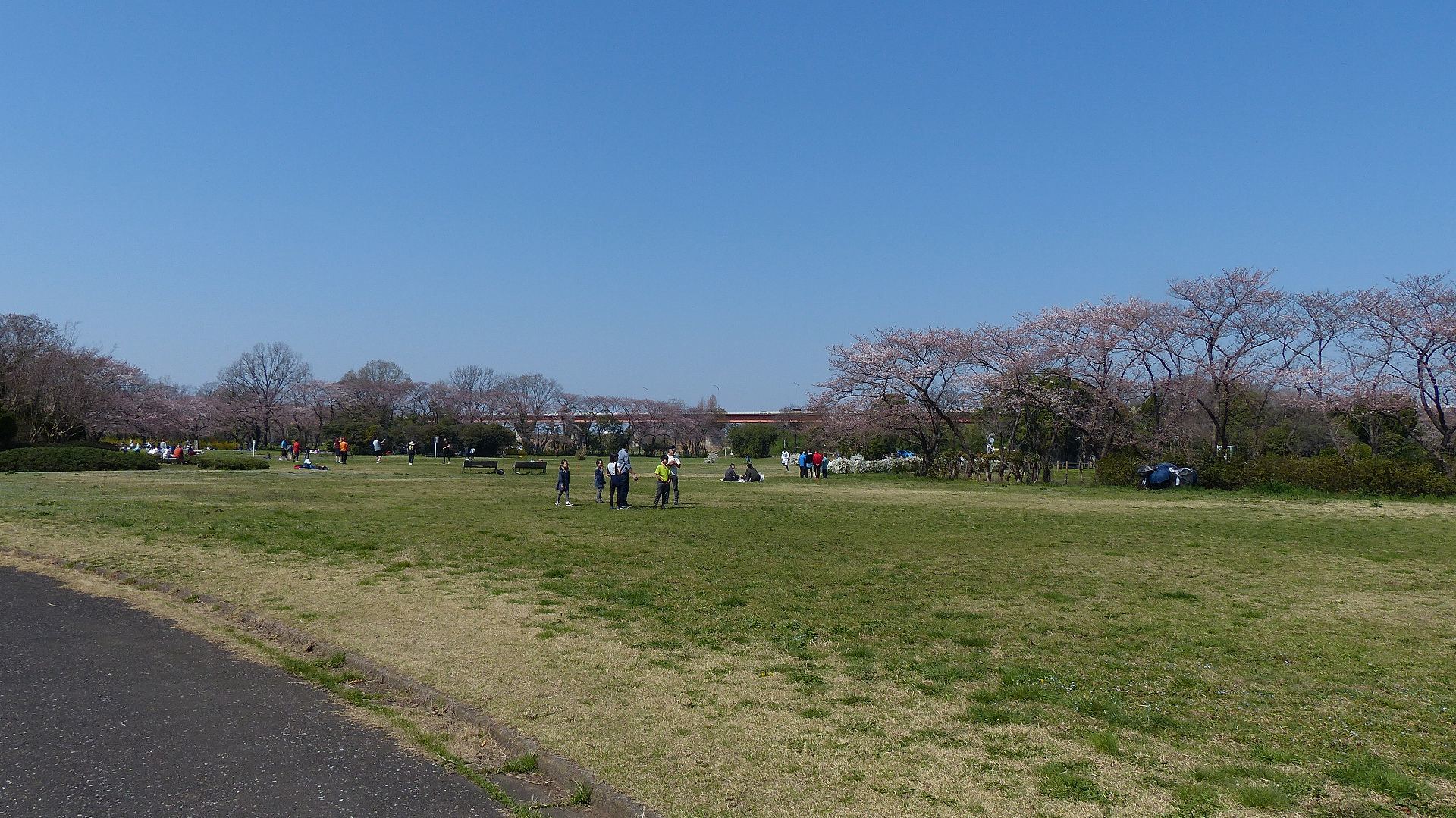 やっと見つけた名残の紅男_a0185081_01385087.jpg